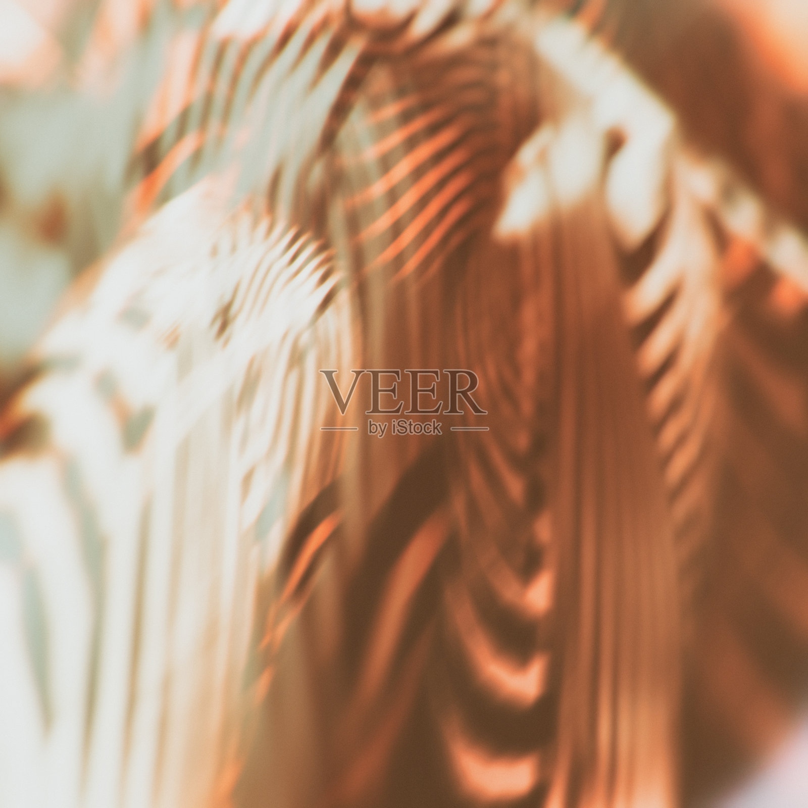 3d几何剥离图案插图艺术照片摄影图片