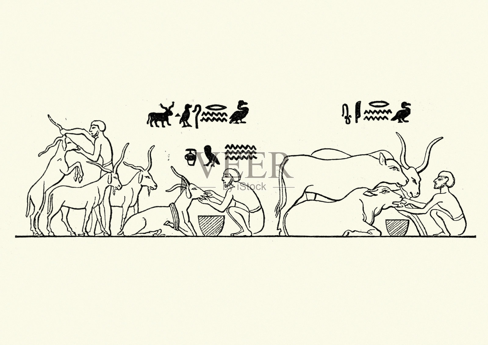 古埃及农民和他们的牲畜插画图片素材