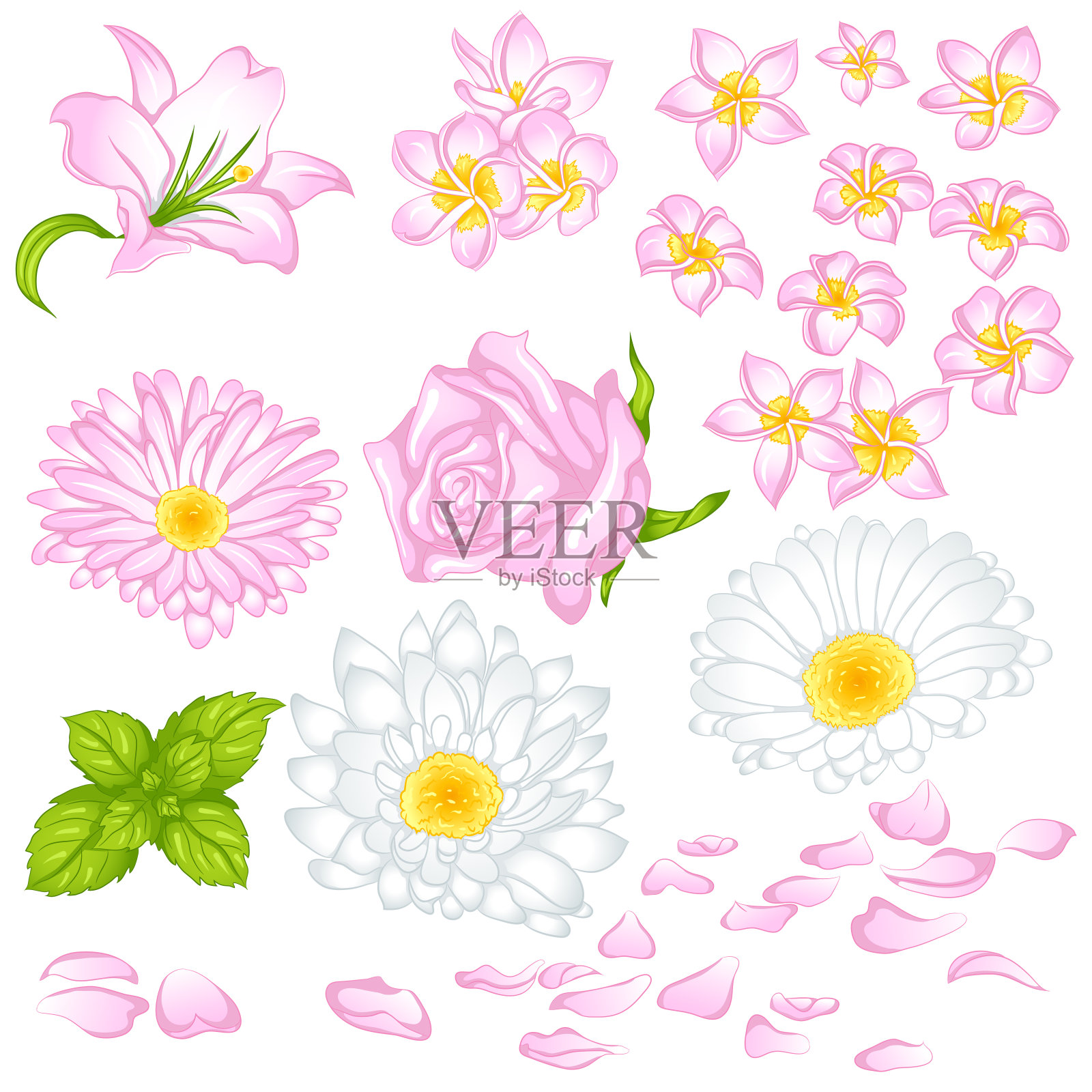 不同花卉组合插画图片素材