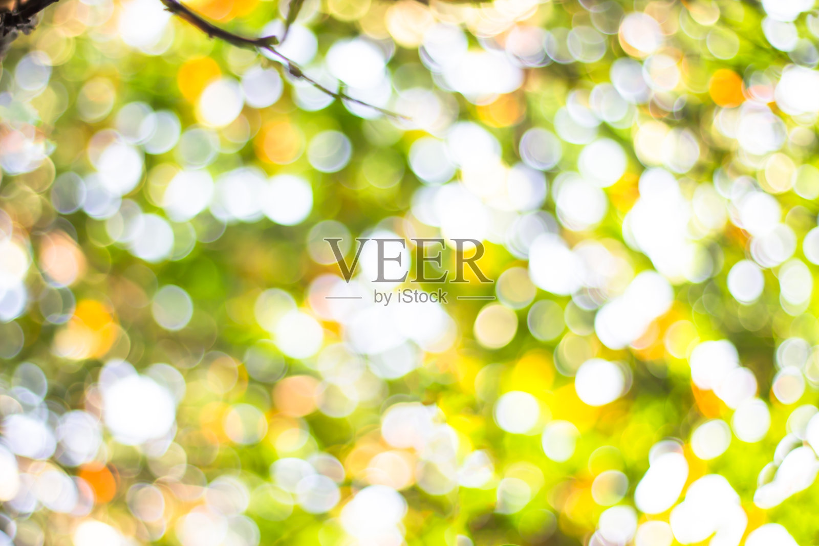 金色模糊的自然背景，圈黄色壁纸，白色散景背景照片摄影图片