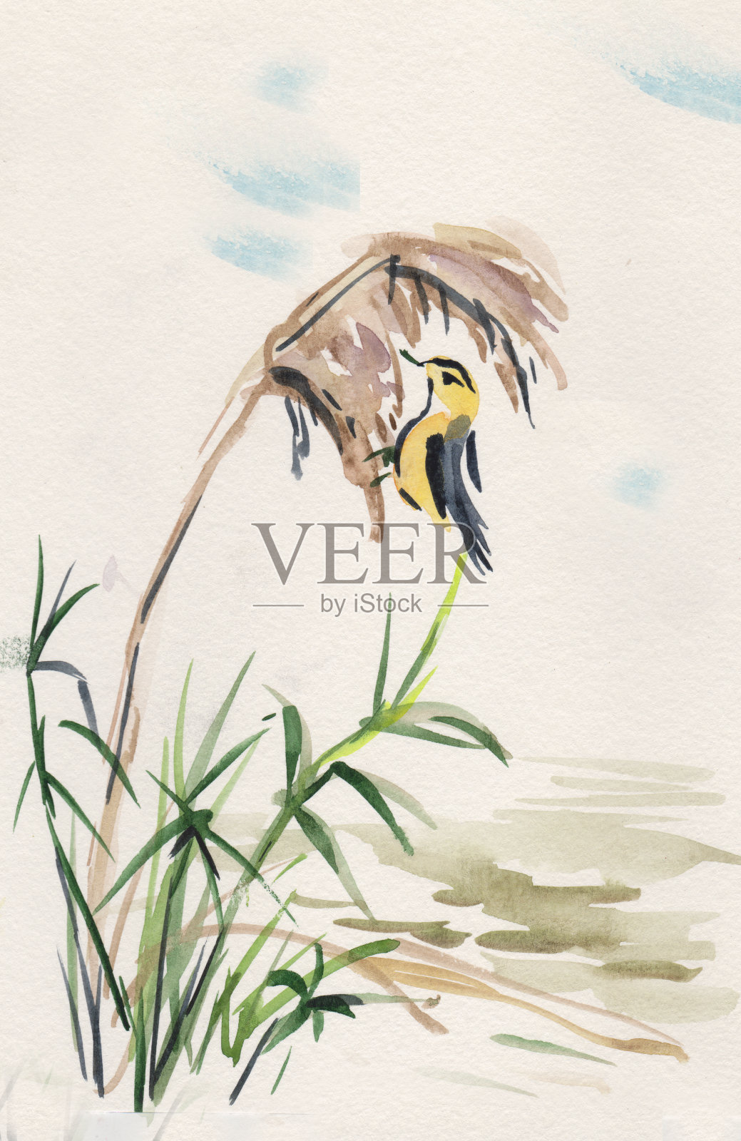 水彩图片插画图片素材