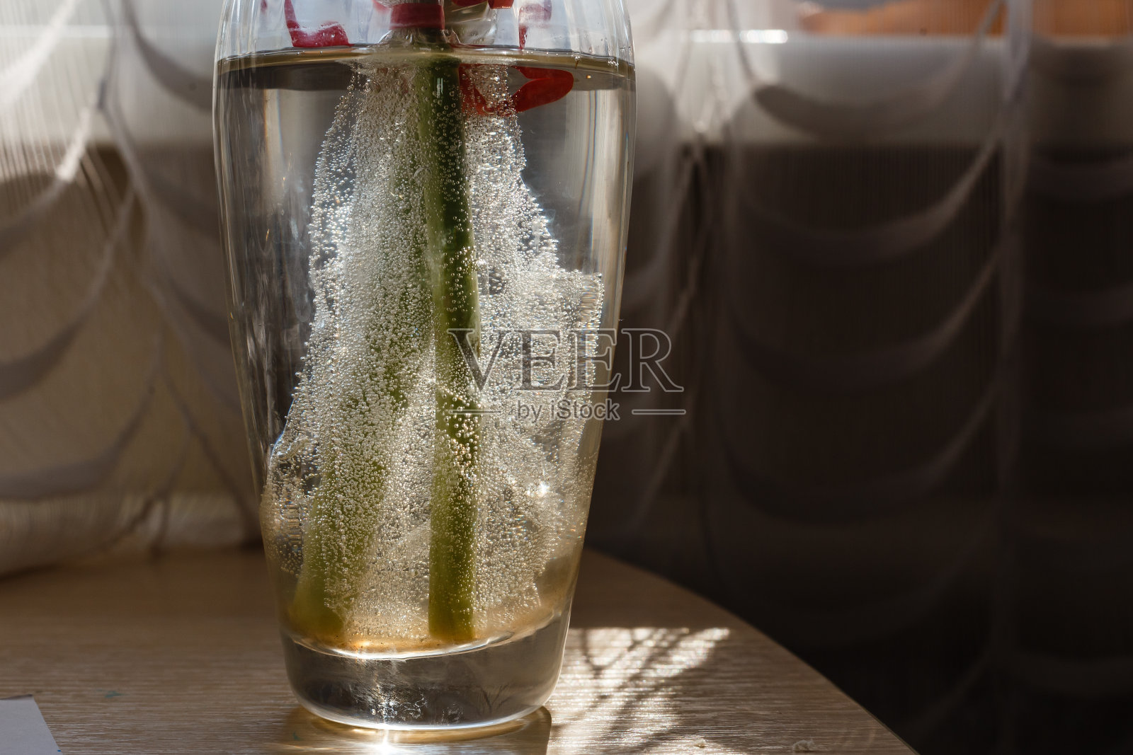 近距离的气泡在一个玻璃花瓶装满了水和柳枝茎照片摄影图片