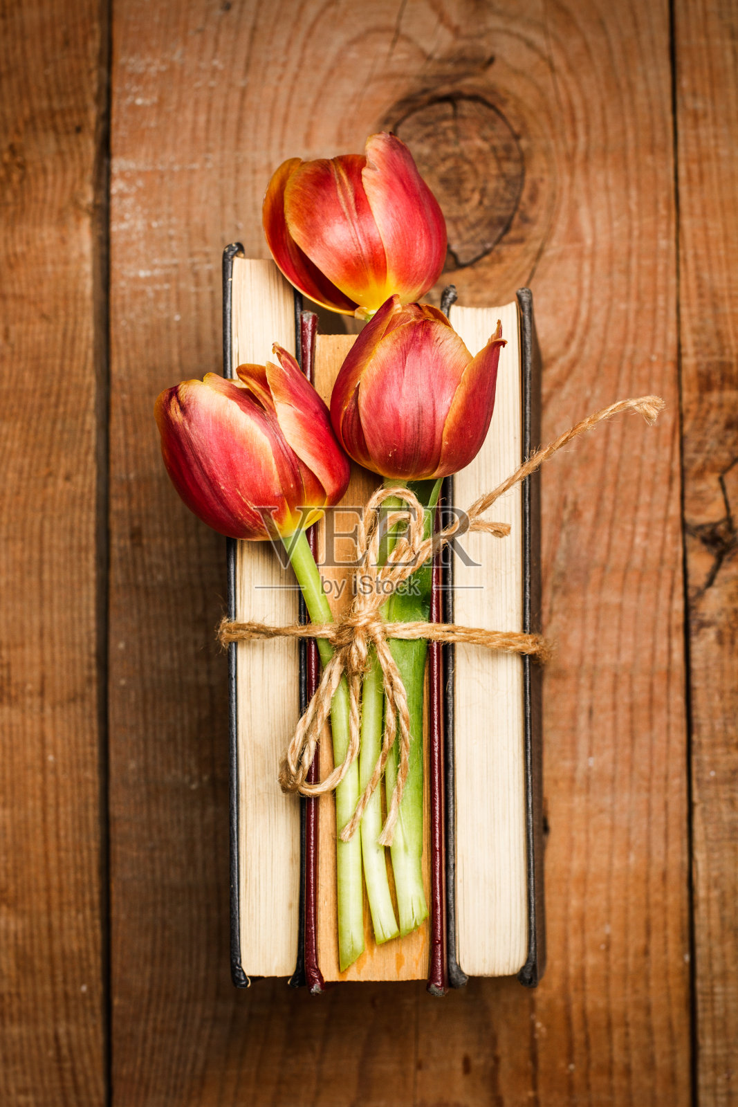 三朵郁金香在书上照片摄影图片