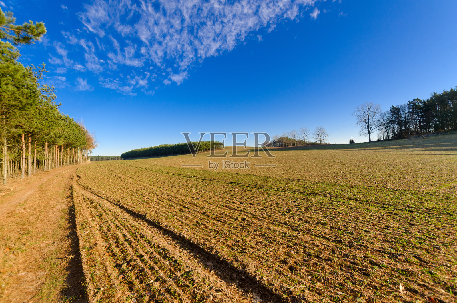 波兰Kaszuby地区的空地。照片摄影图片