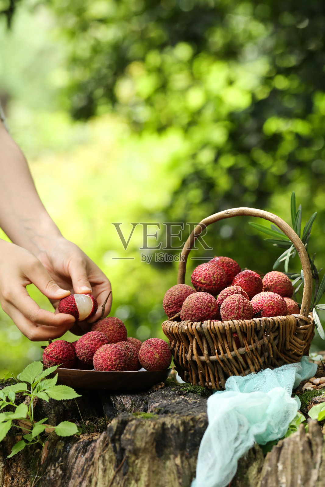 利切照片摄影图片