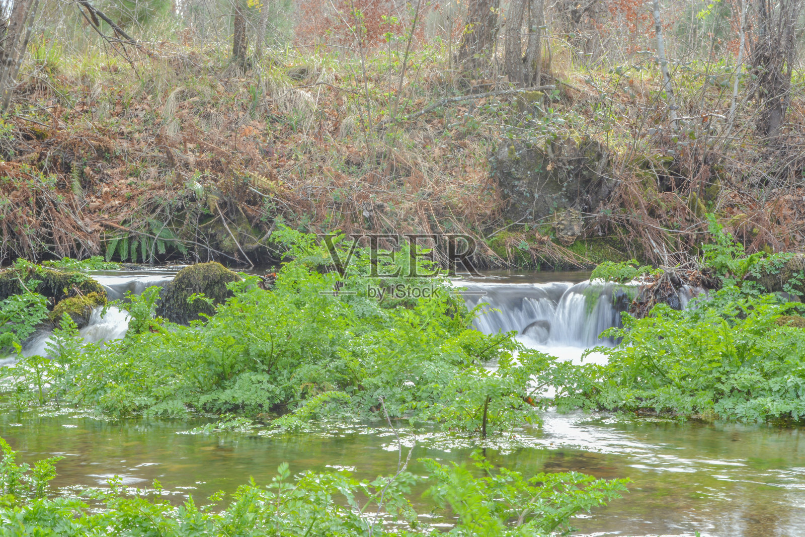 小河流照片摄影图片