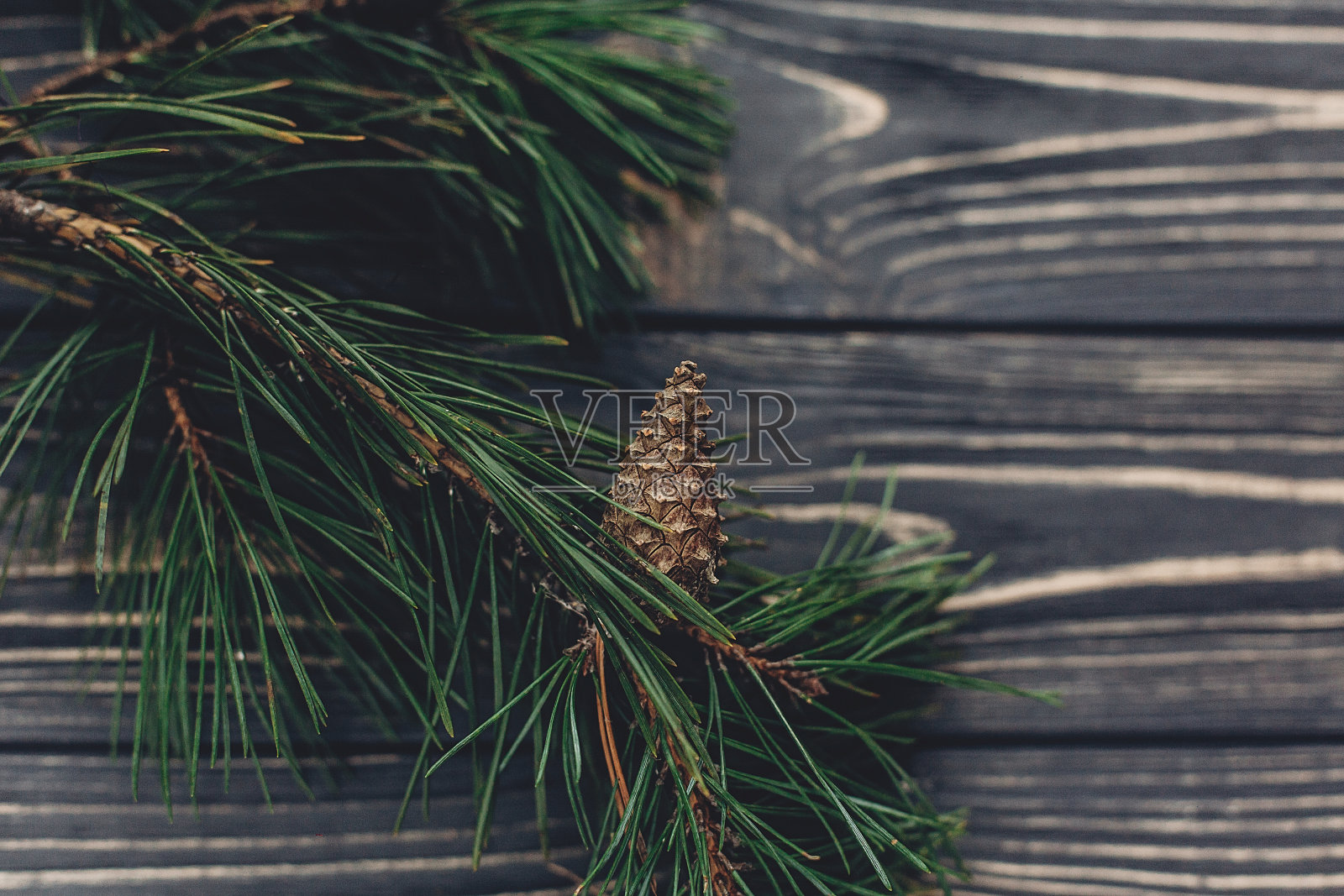 圣诞树的树枝与松果在乡村背景俯视图，文字空间。时尚的圣诞节日问候形象。冬天假日的心情。大气静物照片摄影图片