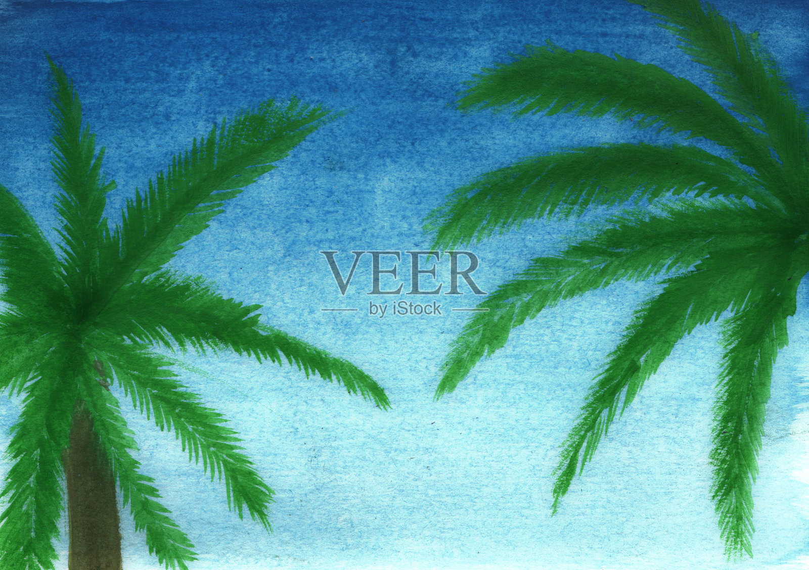 夏天。绿色的棕榈叶映衬着蓝色的天空插画图片素材