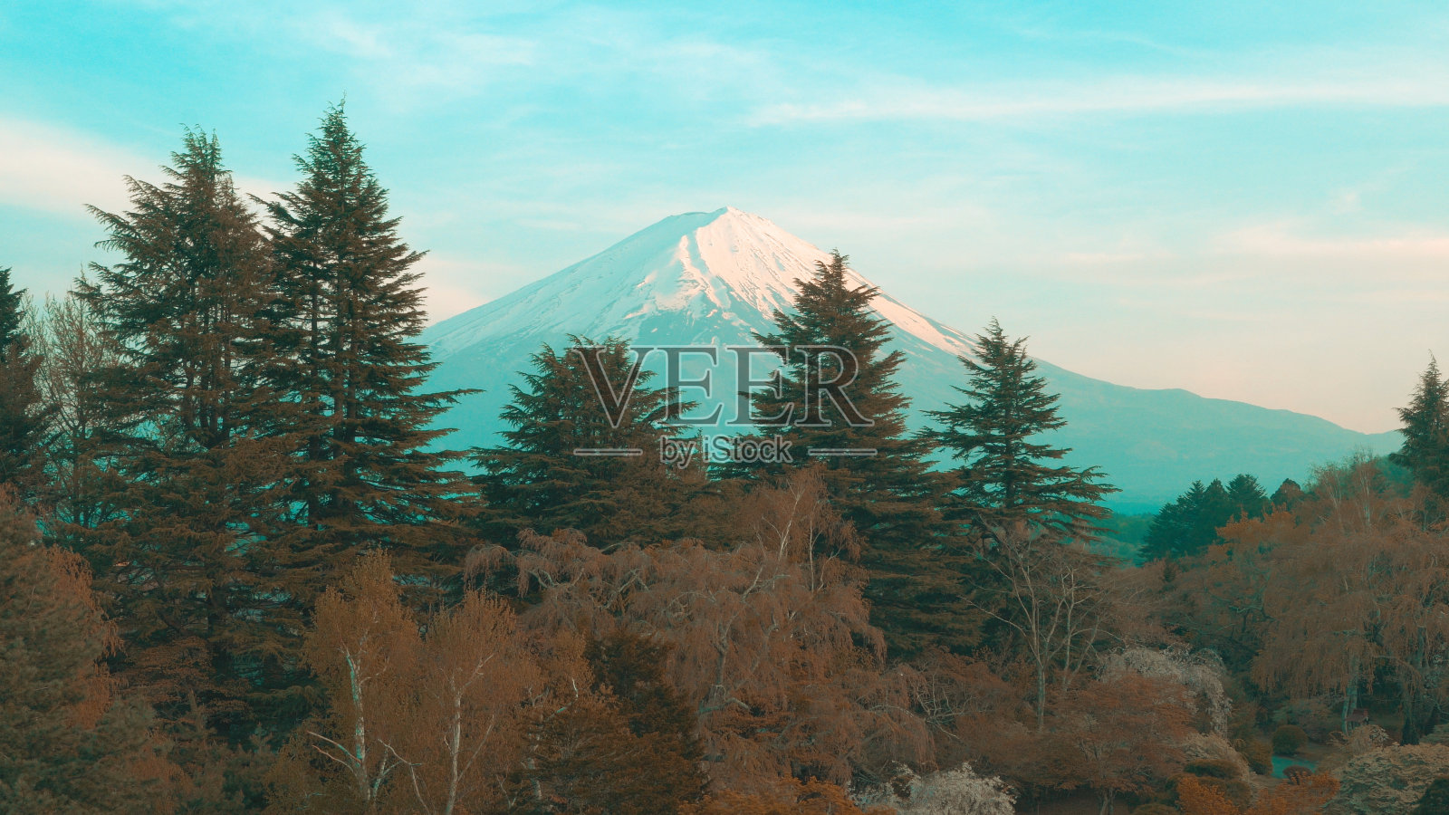 富士山照片摄影图片