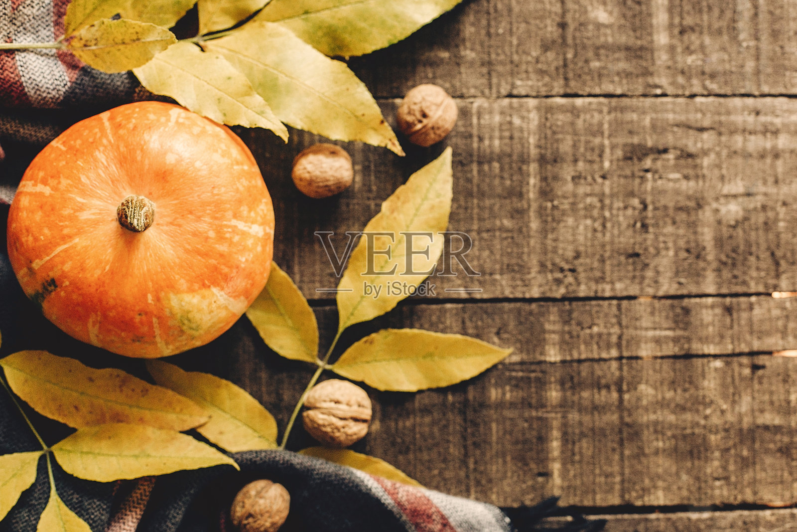 万圣节快乐还是感恩节平躺。南瓜叶和核桃时尚围巾俯视图，文字空间。节日问候，秋高气爽秋高气爽过节。收获时间。舒适的心情照片摄影图片