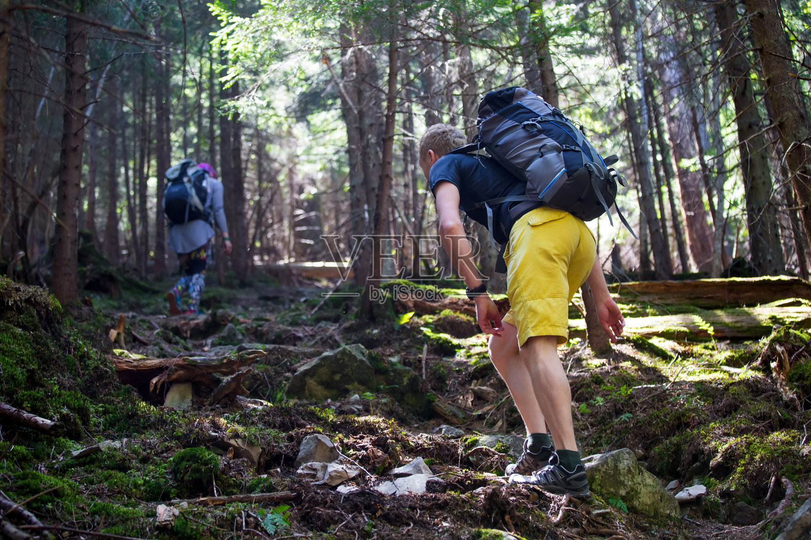 林中小径上的徒步旅行者照片摄影图片