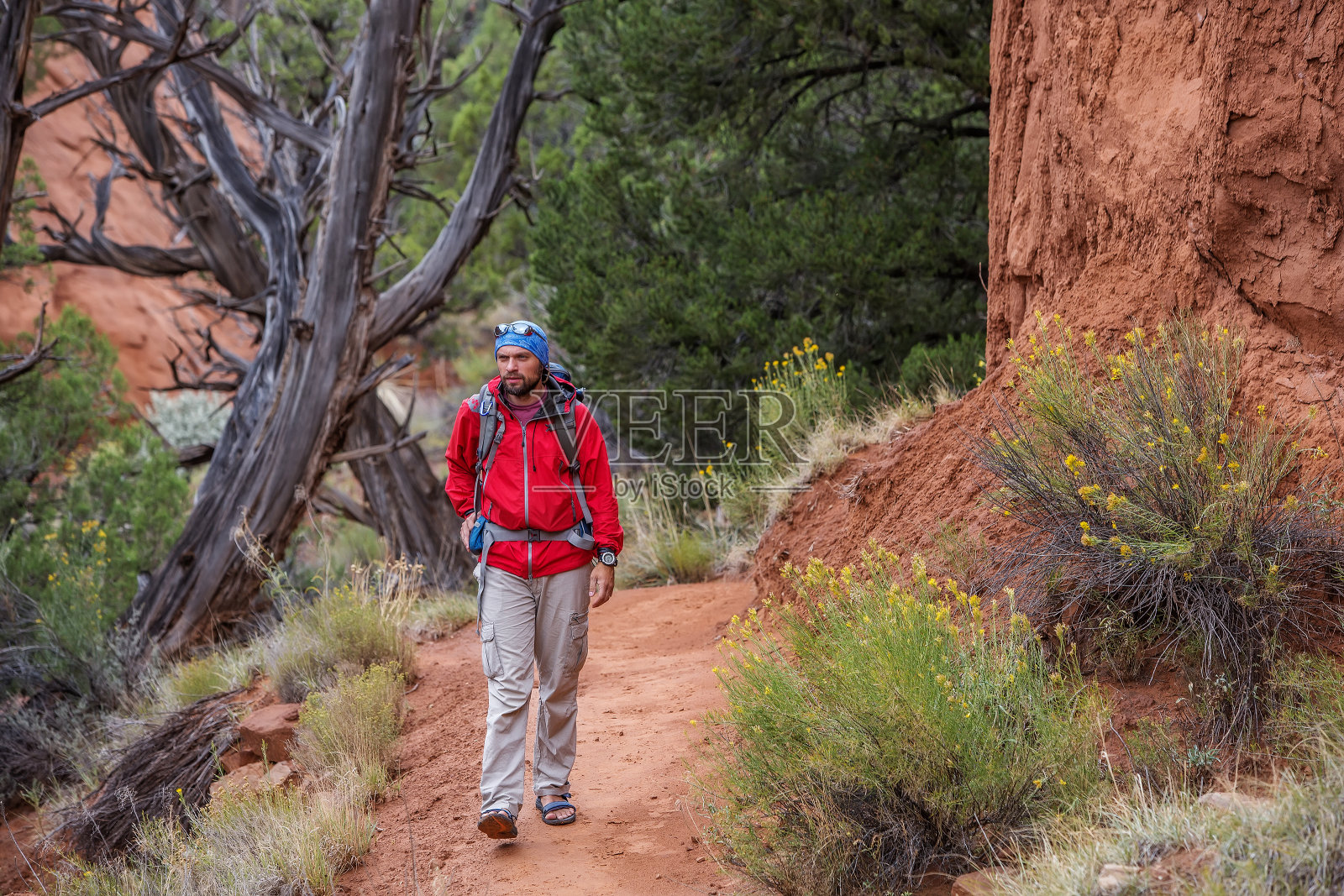 美国犹他州柯达克罗盆地州立公园的徒步者照片摄影图片