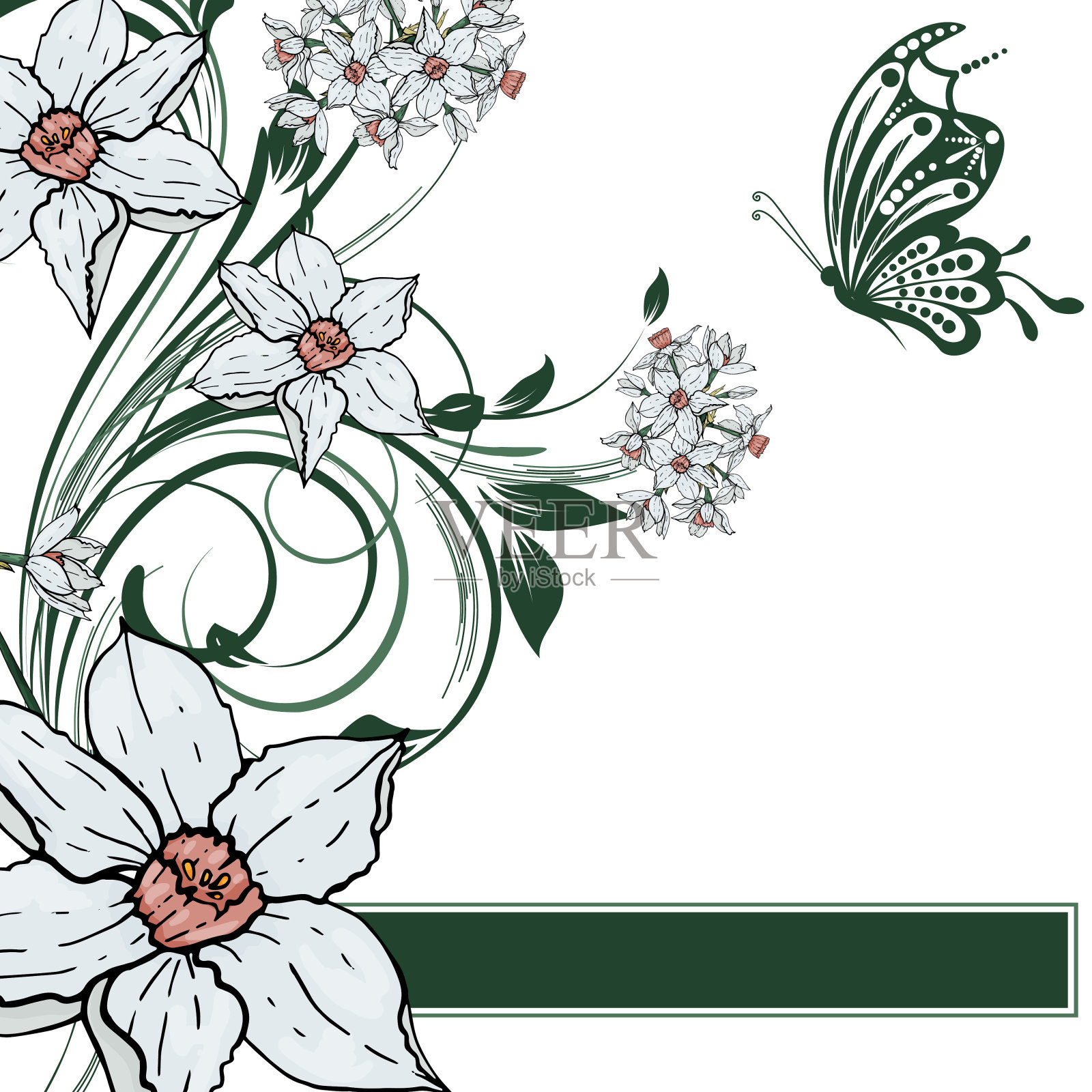 矢量手绘水仙花背景插画图片素材