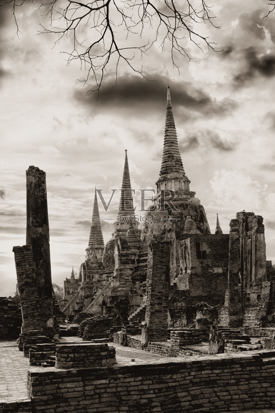 世界遗产寺寺寺。泰国大城府。照片摄影图片