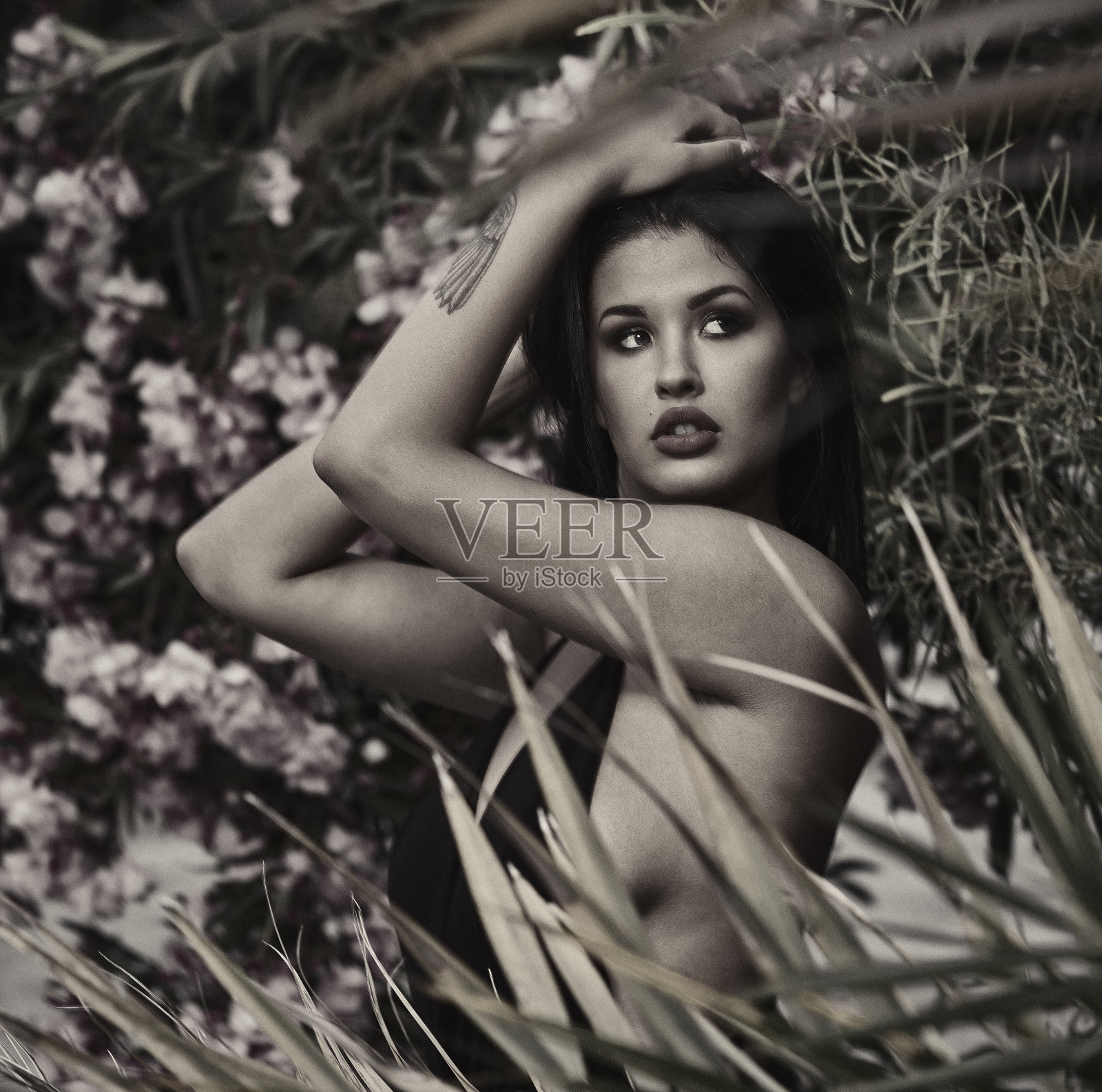 性感的黑发女人照片摄影图片