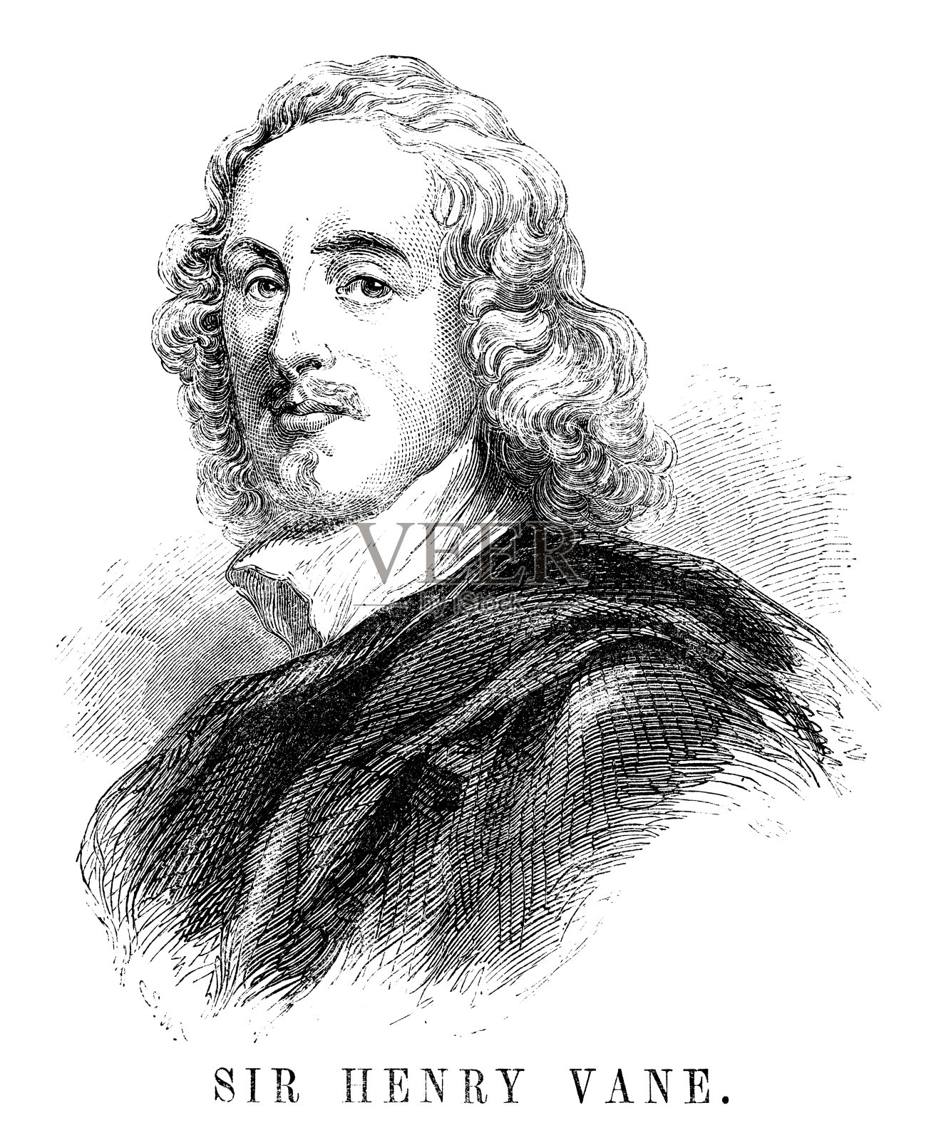 亨利爵士叶片插画图片素材