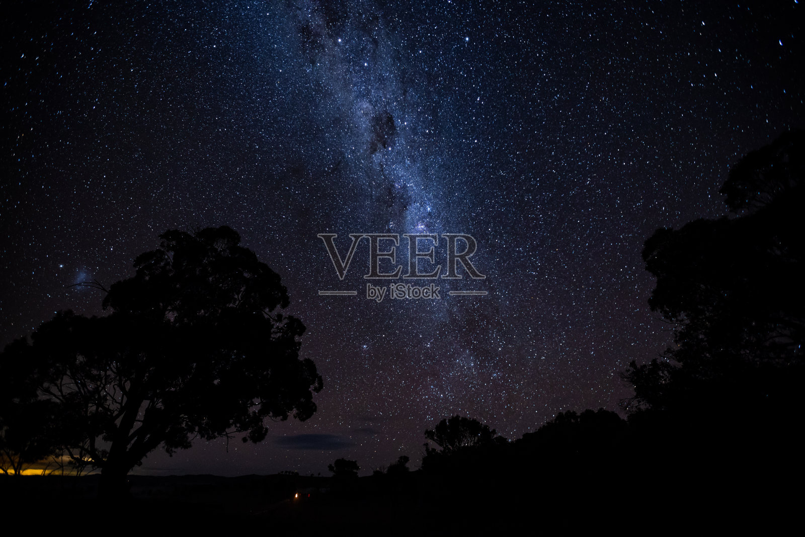 一棵树的剪影映衬在明亮的银河夜空中照片摄影图片