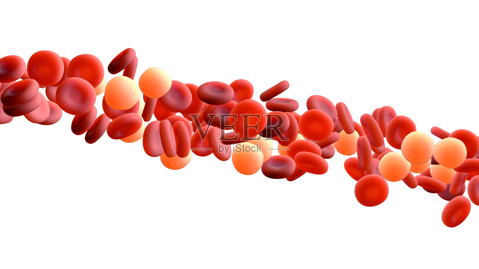 血细胞和白细胞漂浮在空气中照片摄影图片