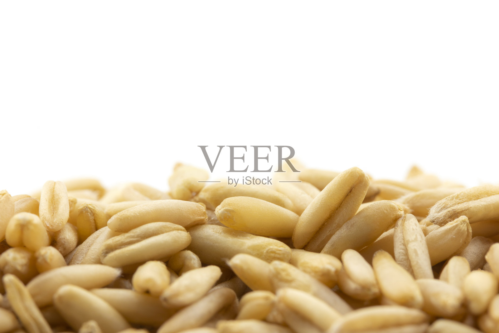 白色背景上的燕麦粒的特写照片摄影图片