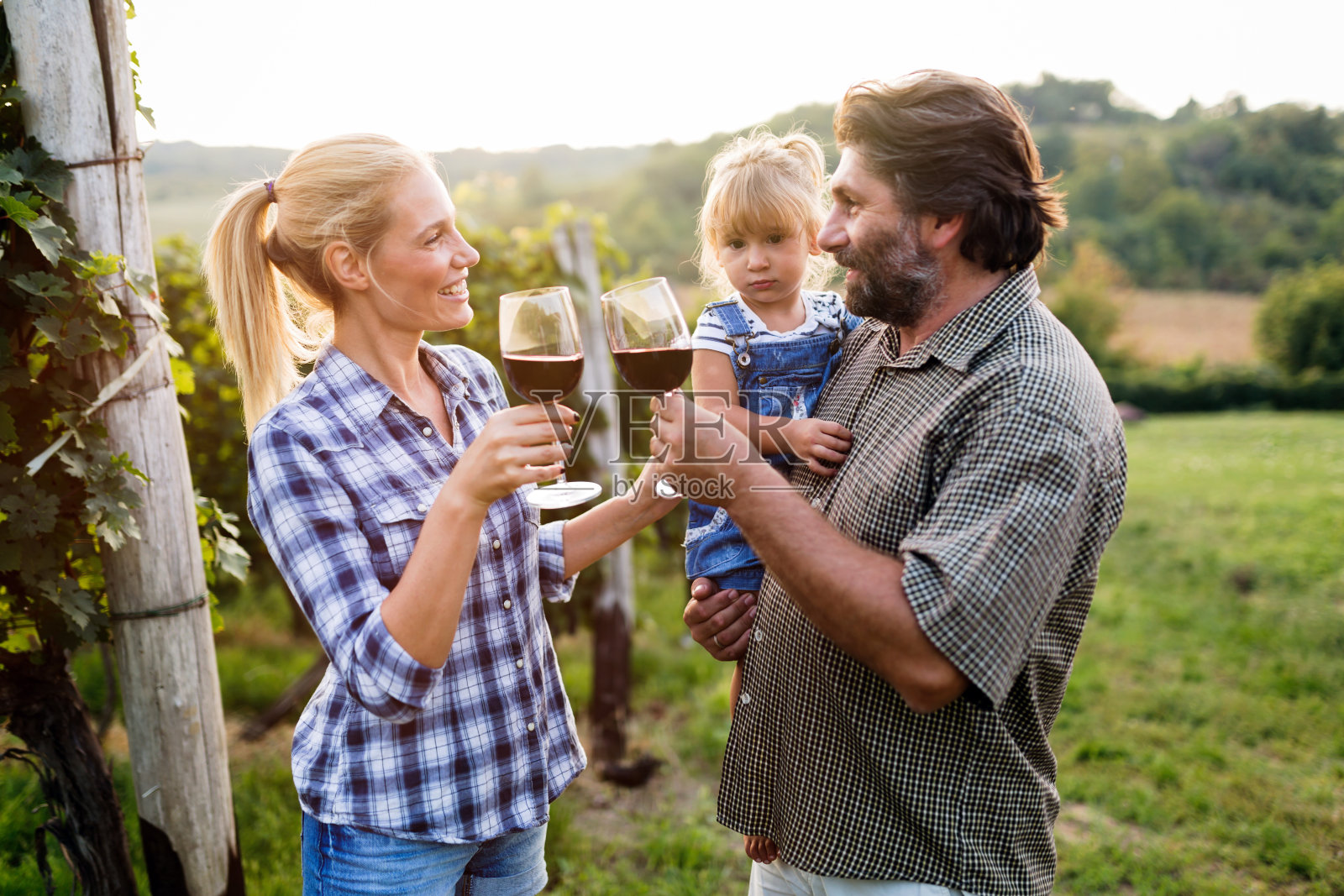 葡萄酒种植者家族在葡萄园收获前照片摄影图片