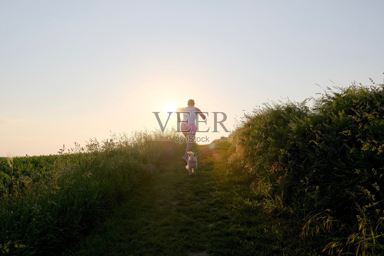 日落时分，一个女人的剪影和一只狗跑上一条砾石小路照片摄影图片