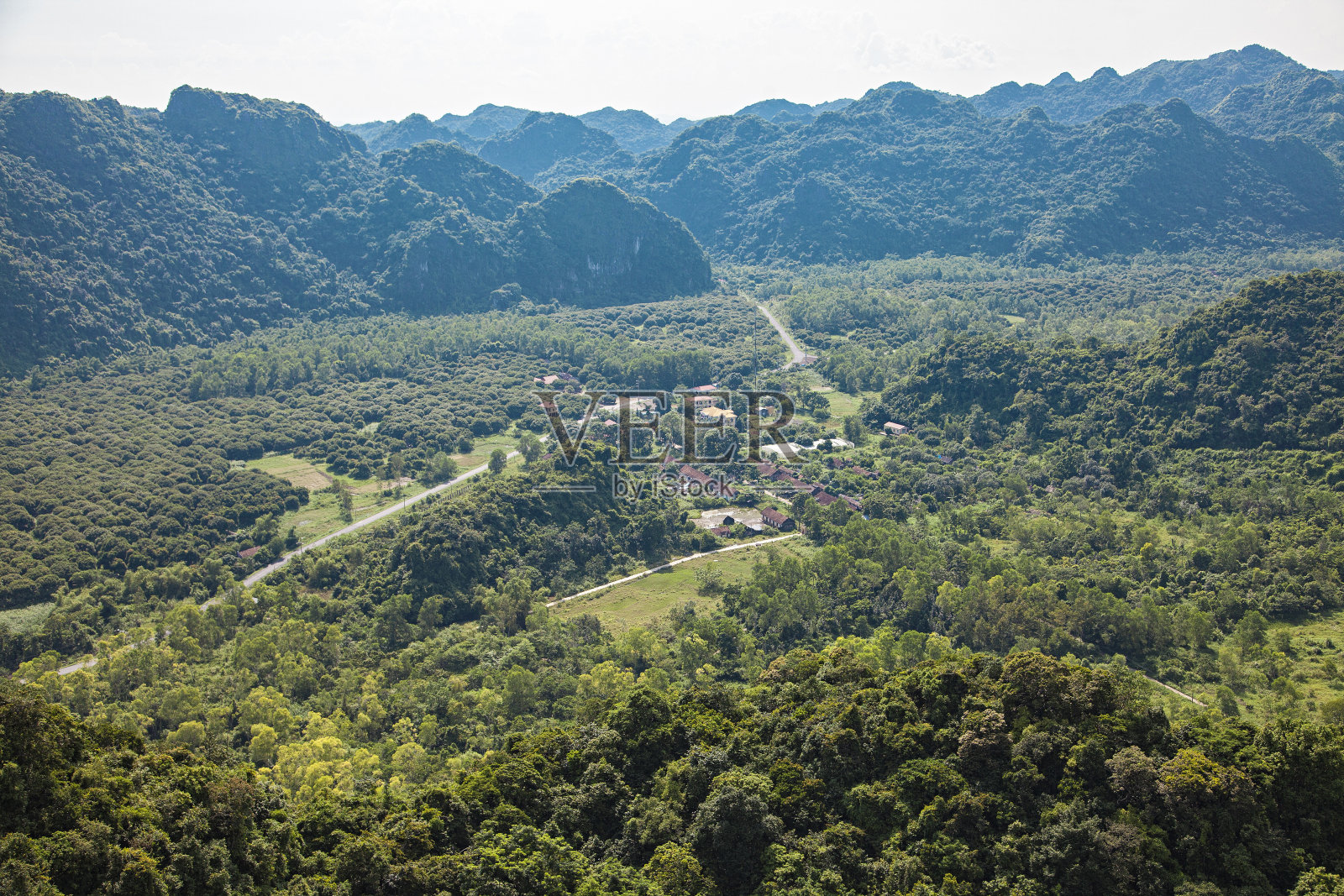 山和森林照片摄影图片