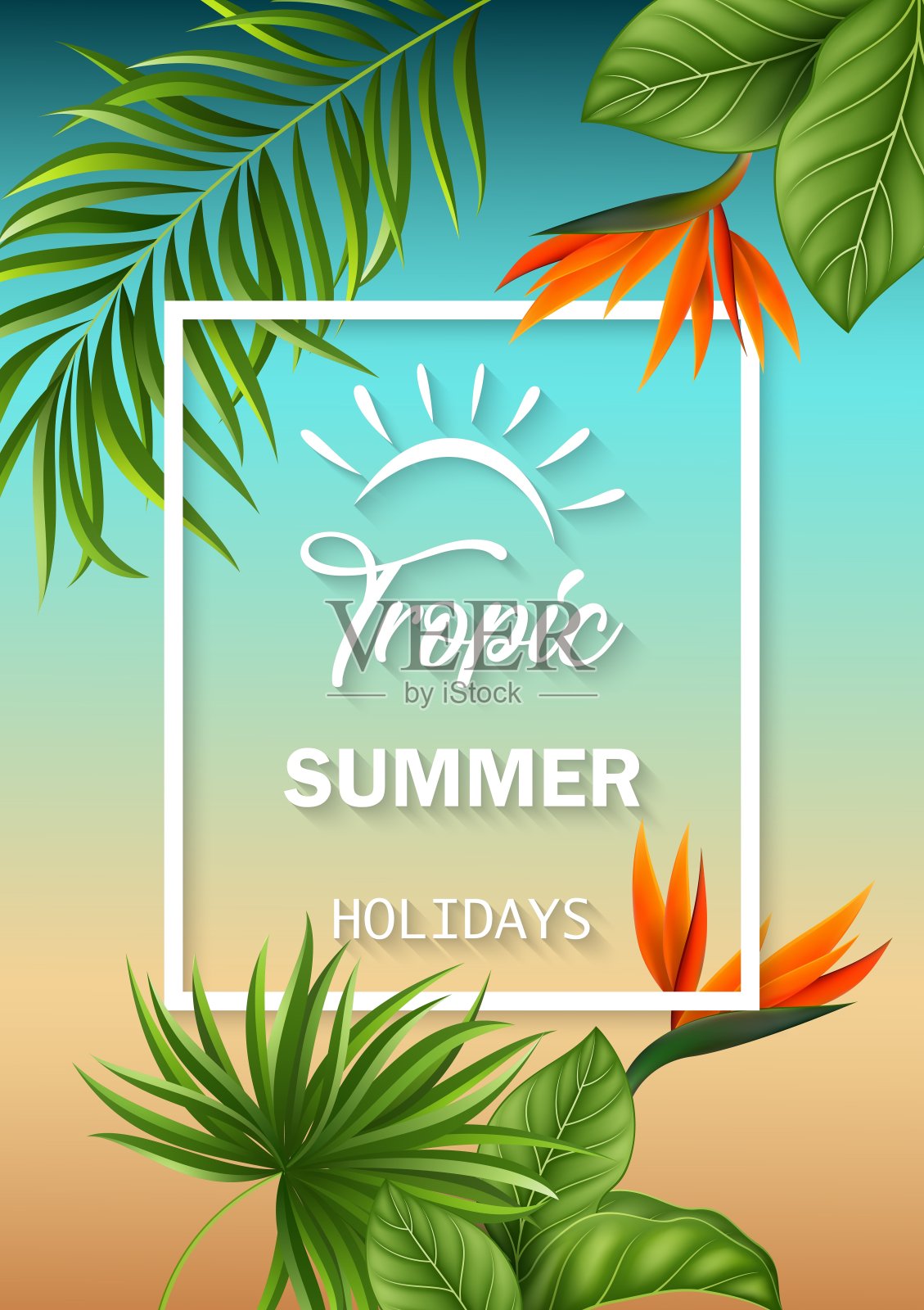 热带的花和叶插画图片素材