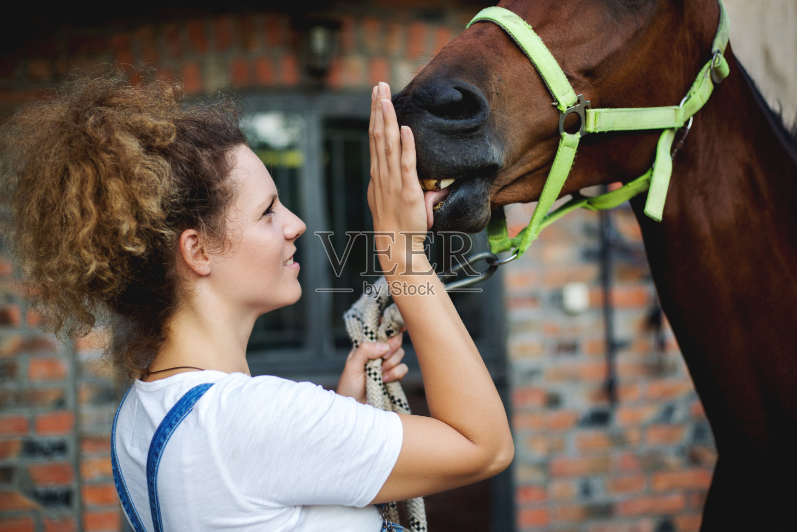 马和骑手之间有一种联系照片摄影图片