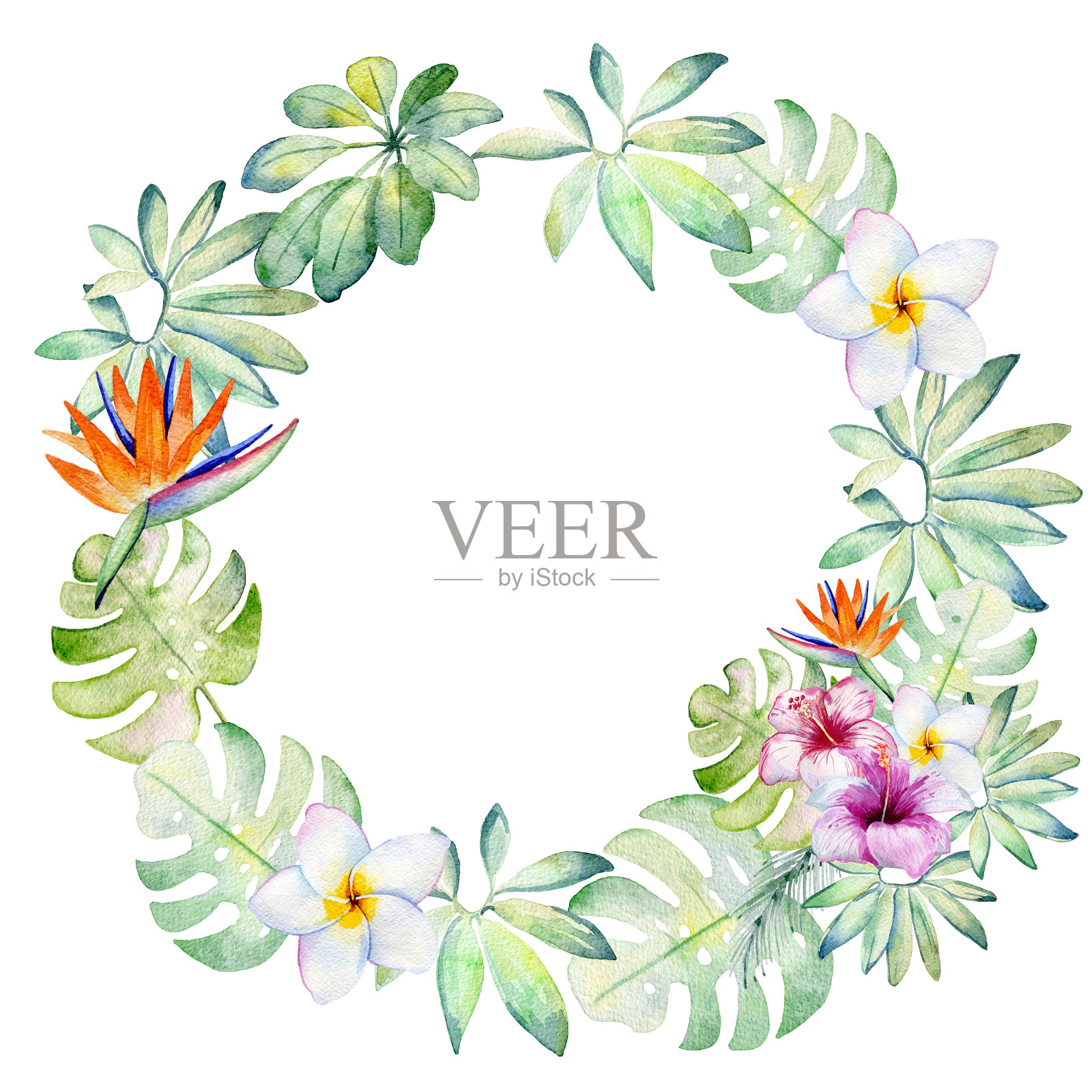 水彩热带花环插画图片素材