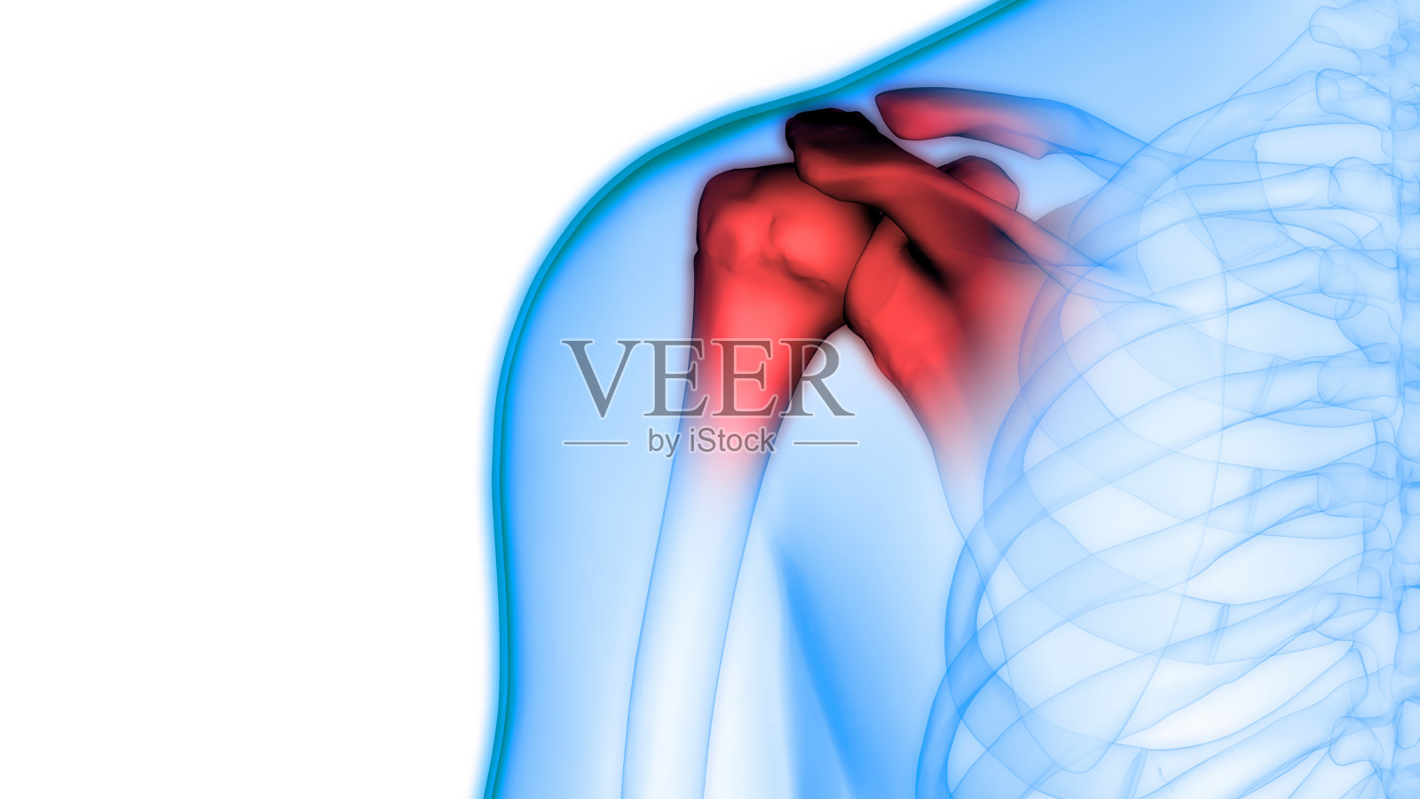 人体骨骼骨骼关节疼痛解剖学照片摄影图片