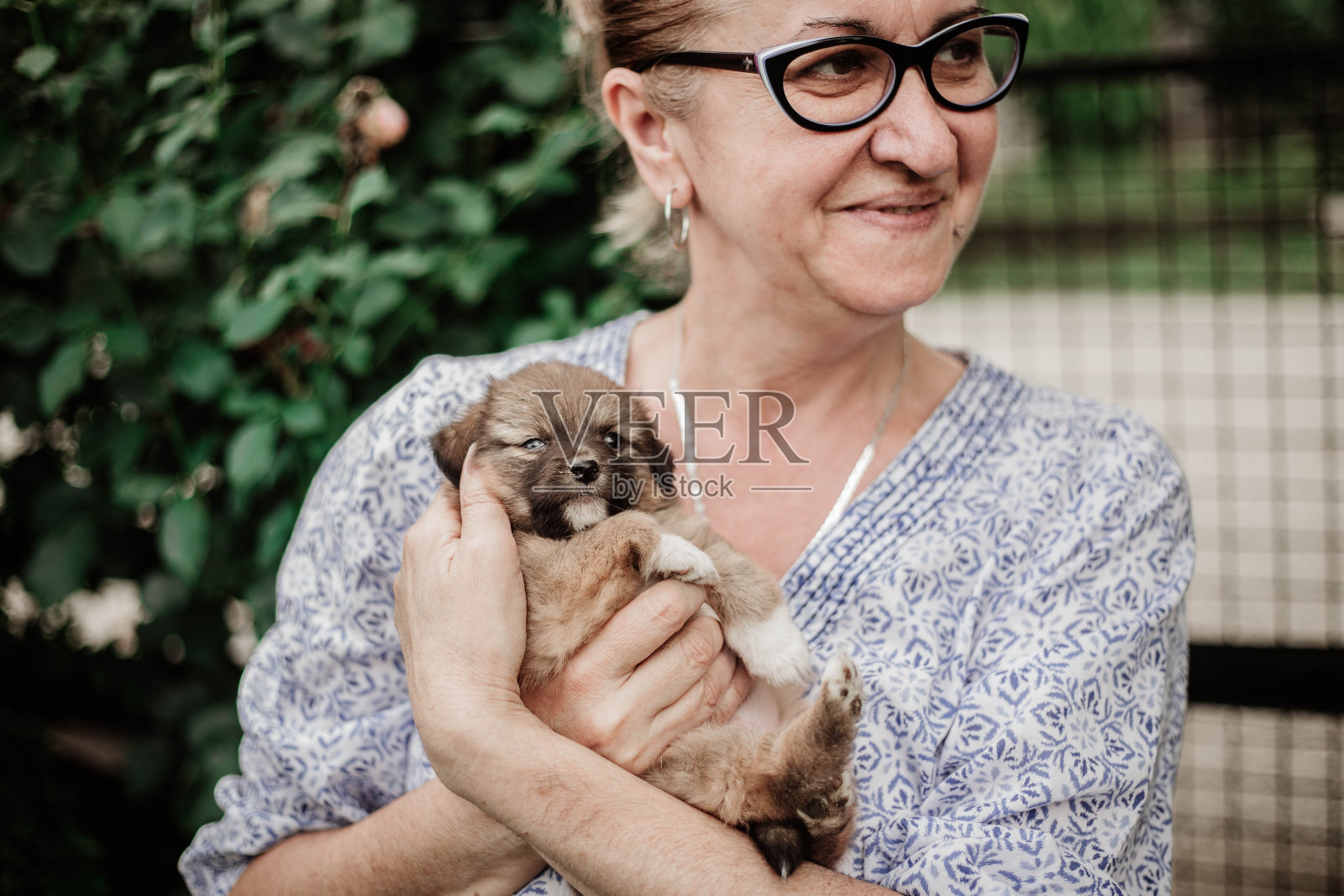 成熟的女人和狗照片摄影图片