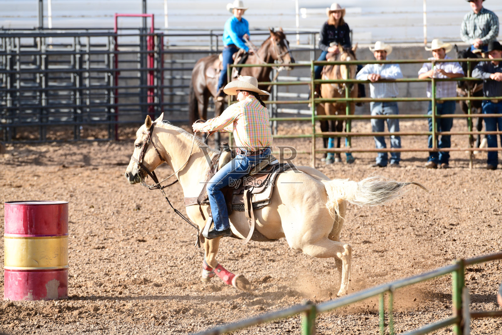 女牛仔骑马桶赛跑马术竞技活动照片摄影图片