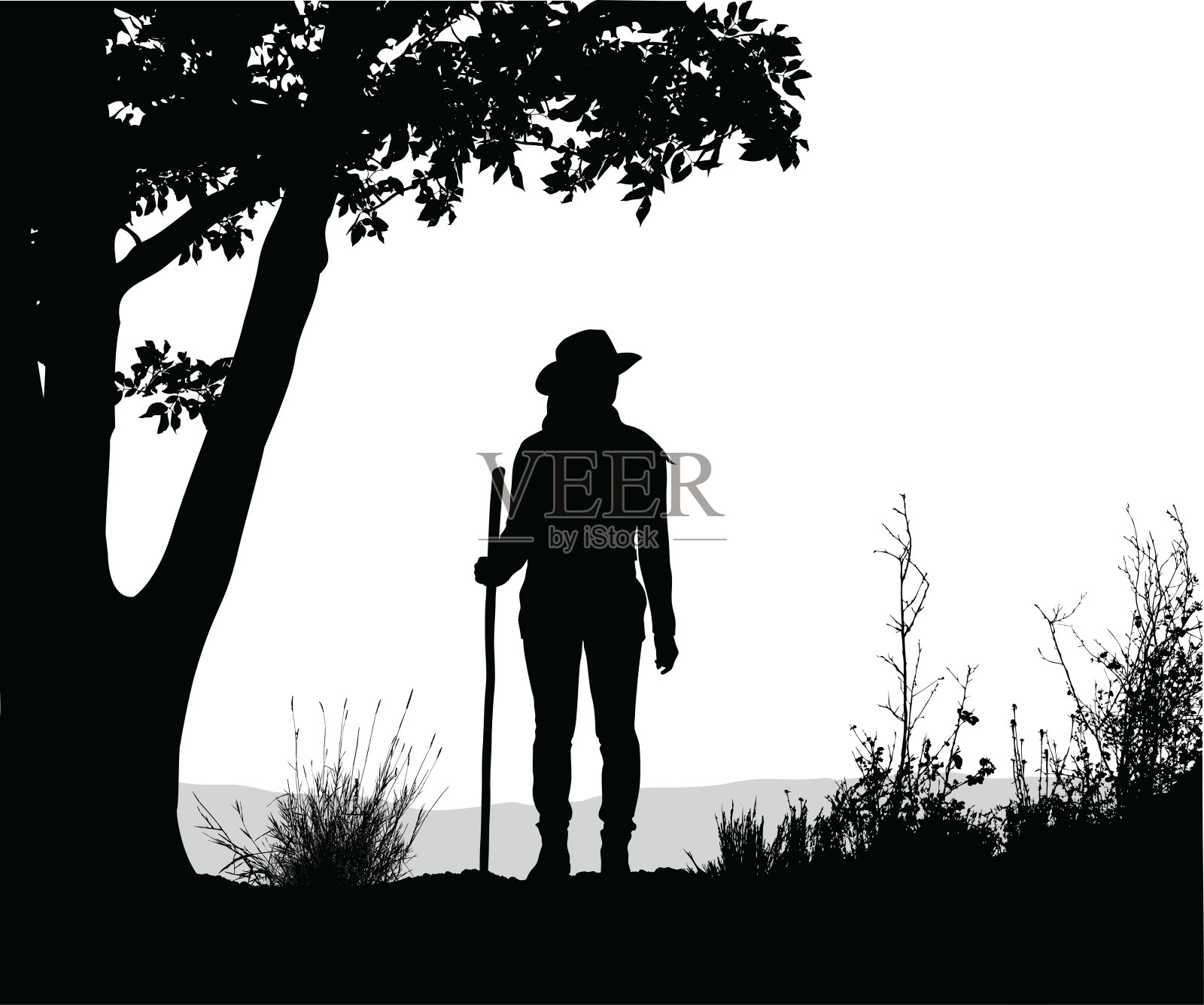 远眺森林插画图片素材