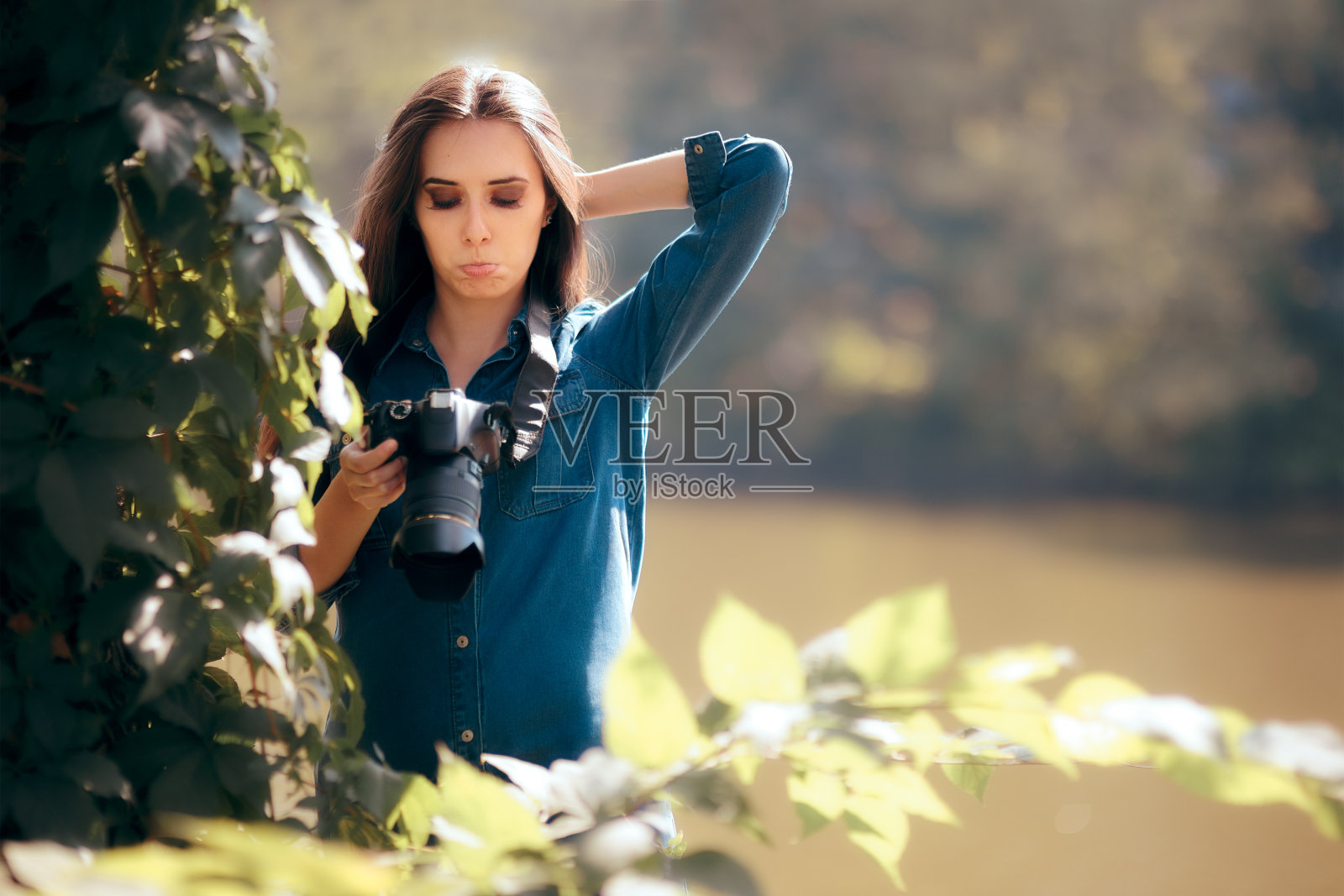 女狗仔队和摄像机藏在灌木丛中照片摄影图片