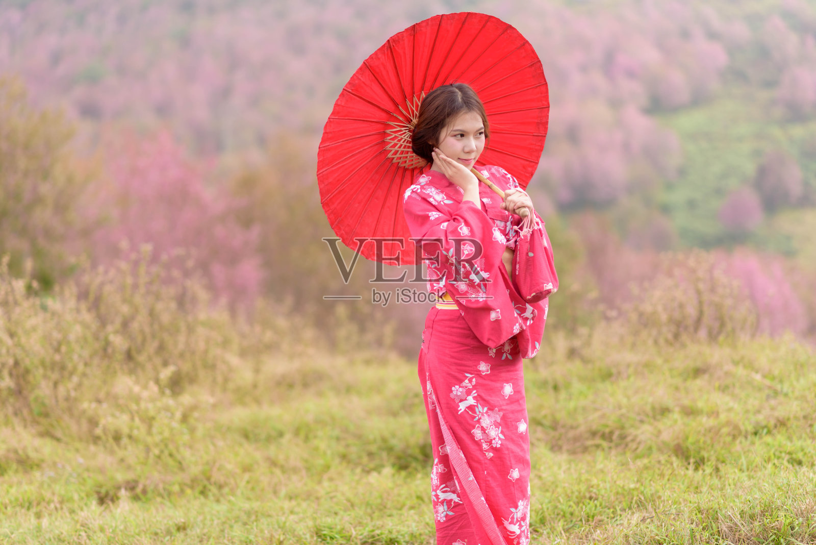 亚洲妇女穿着传统的和服在喜玛拉雅樱花公园，带着红色的伞。女人自然花的概念。照片摄影图片