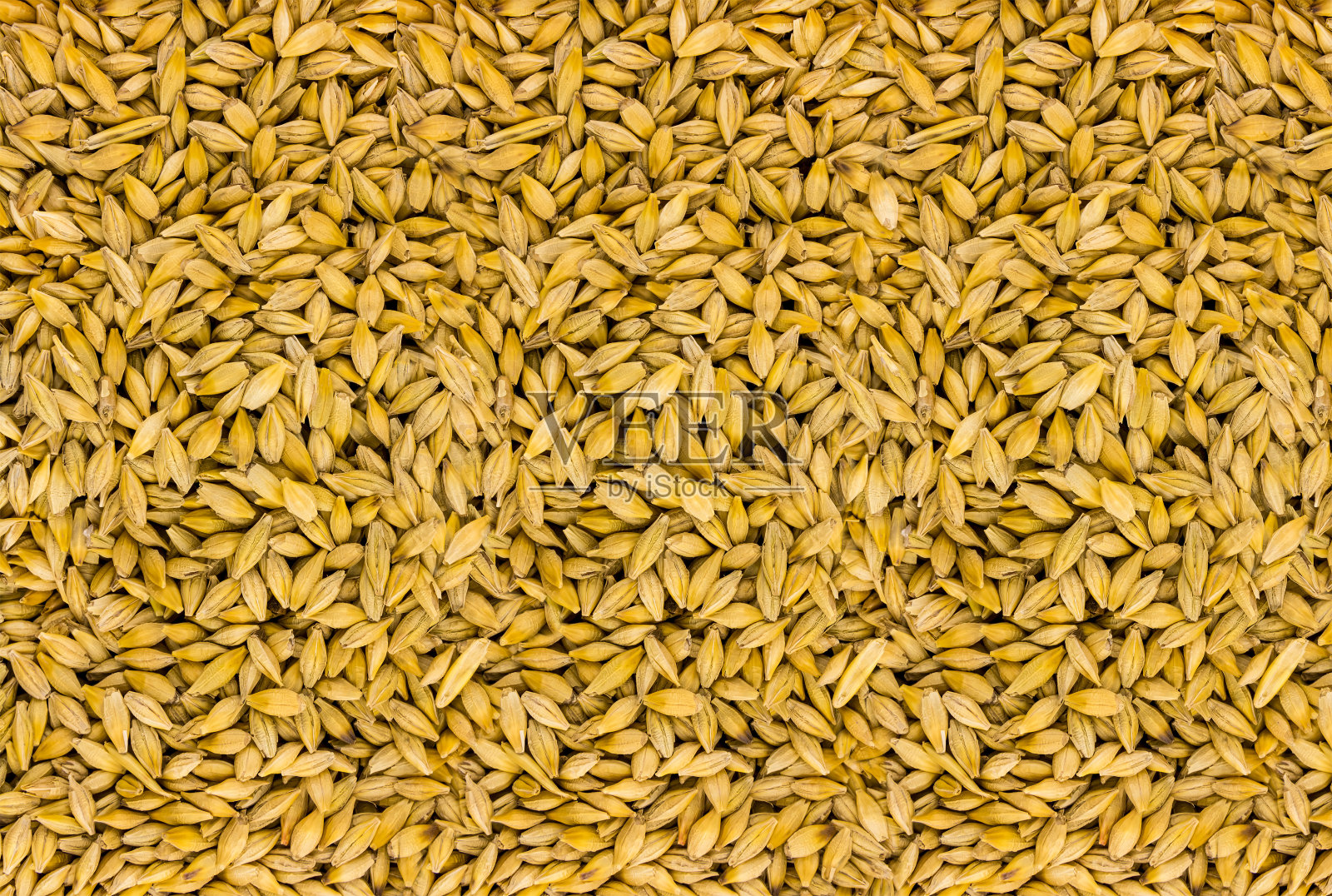 酿造原料为麦芽黑麦多种子基设计底物照片摄影图片