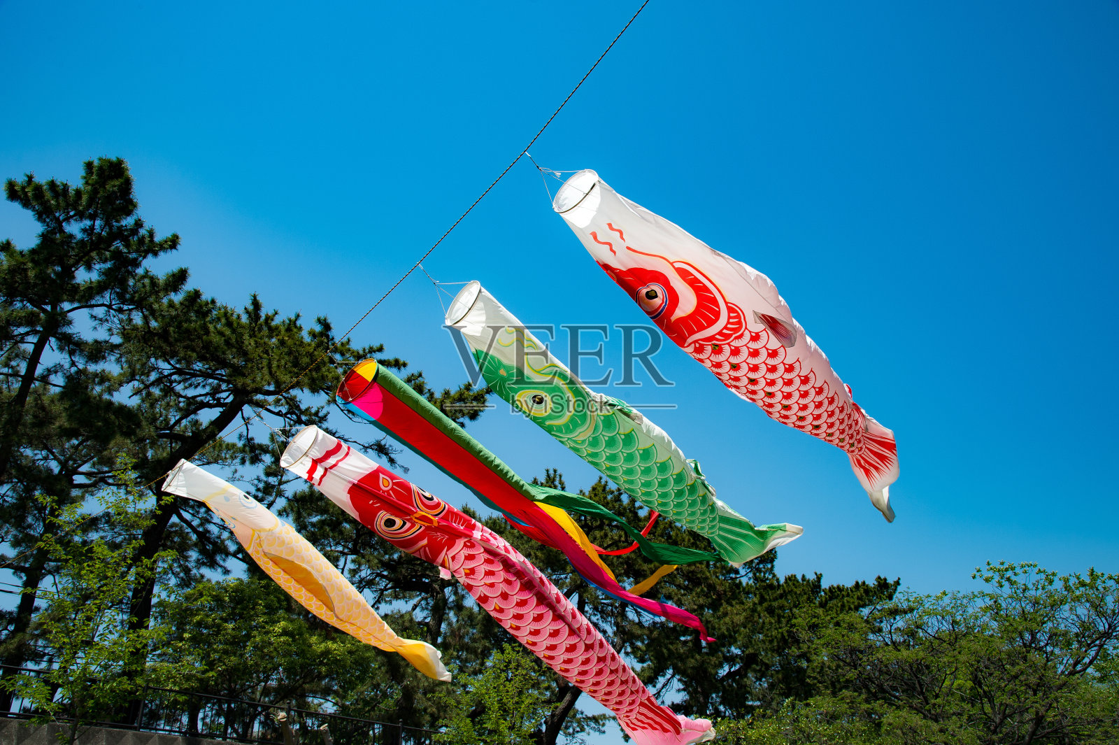 鲤鱼彩带飞在蓝天上装饰日本儿童节照片摄影图片