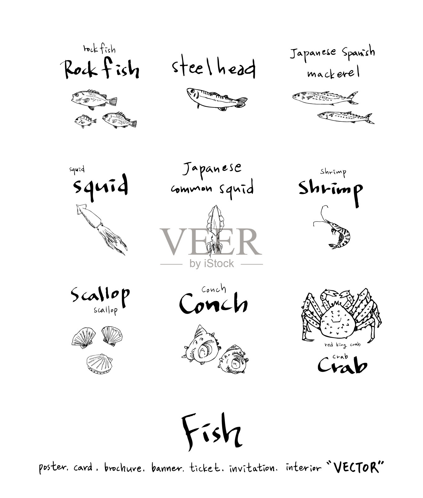 食品菜单插图插画图片素材