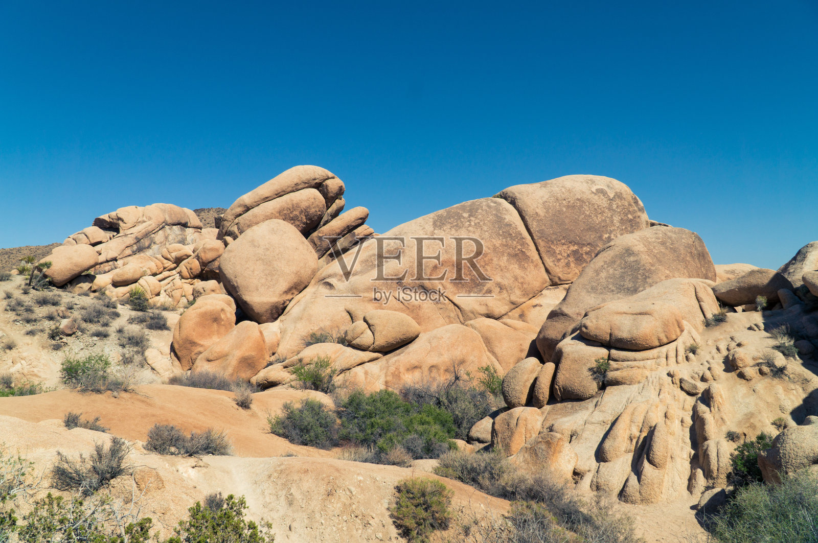 约书亚树国家公园照片摄影图片