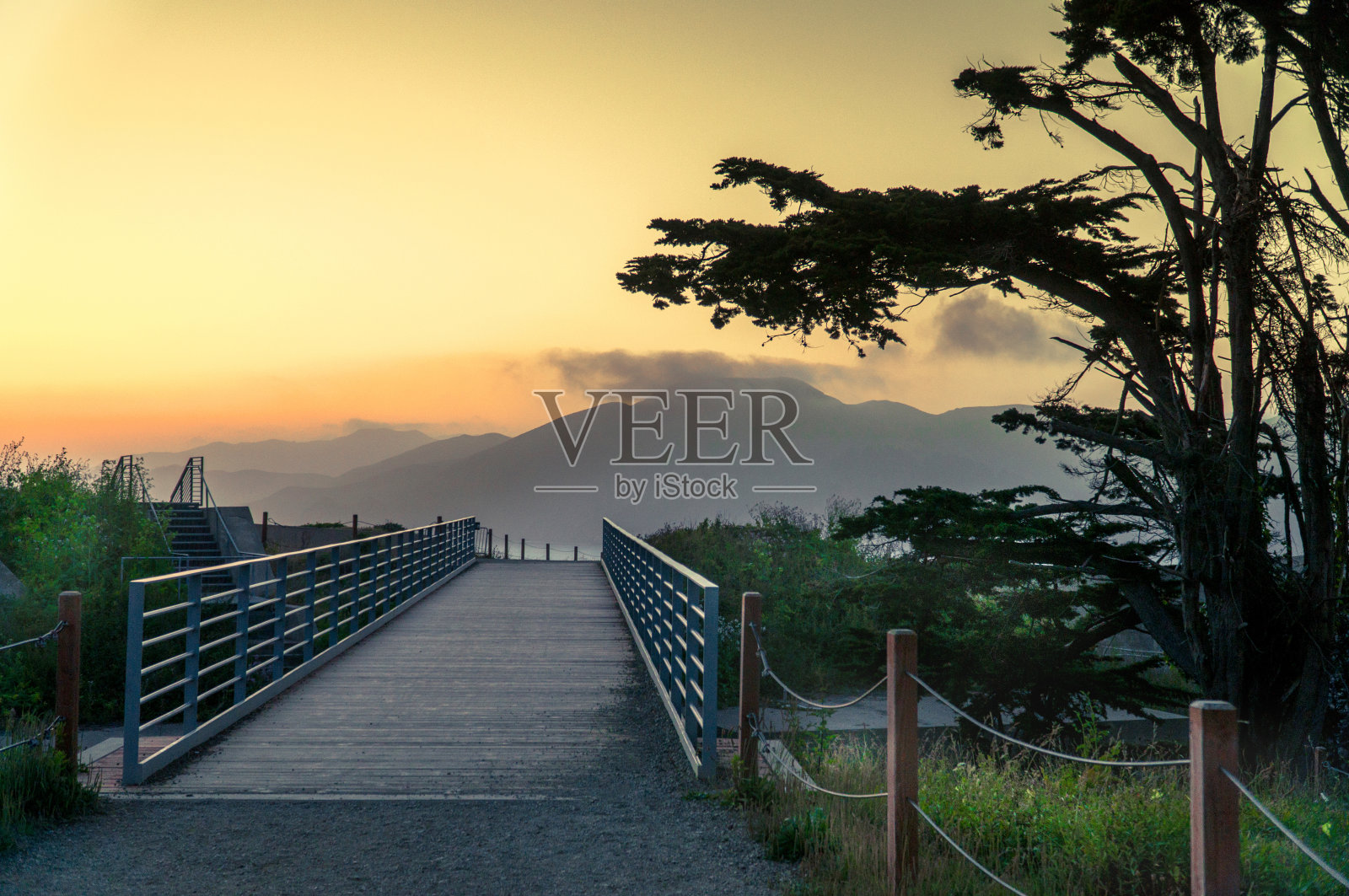 旧金山照片摄影图片