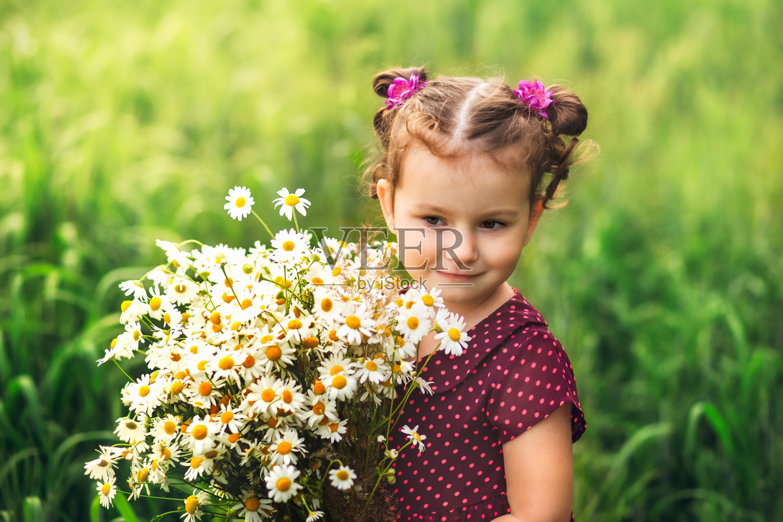 一个小女孩在草地上拿着一束甘菊照片摄影图片