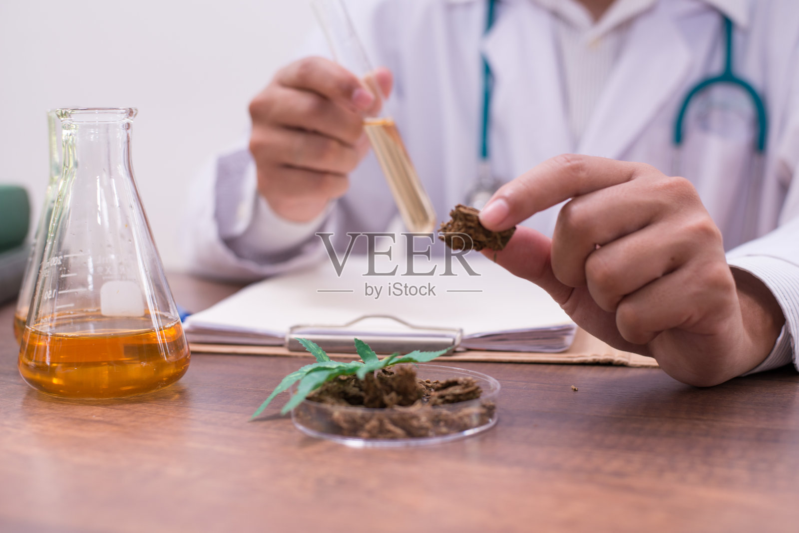 在实验室从事大麻研究的科学家化学家照片摄影图片
