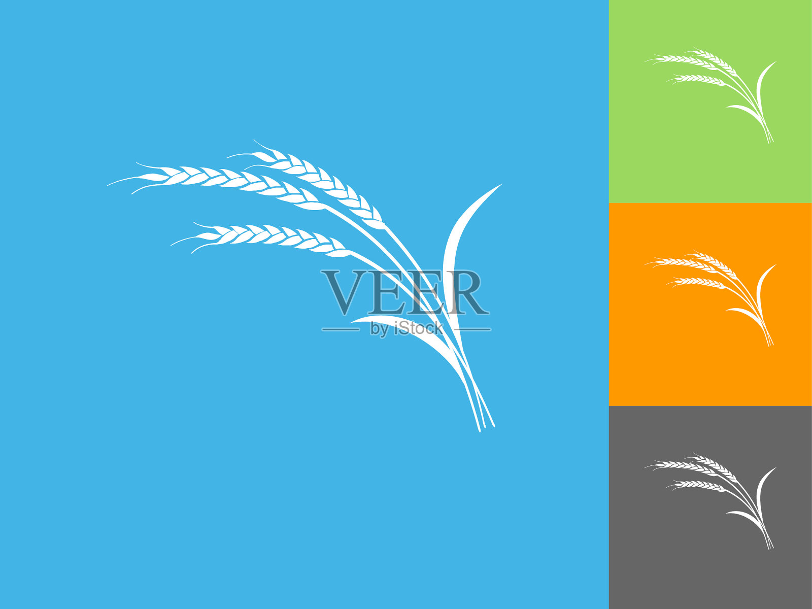 小麦平面图标上的蓝色背景插画图片素材