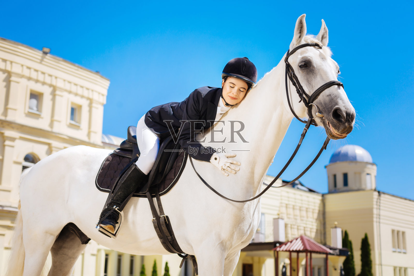女商人喜欢骑着马拥抱她的白马照片摄影图片