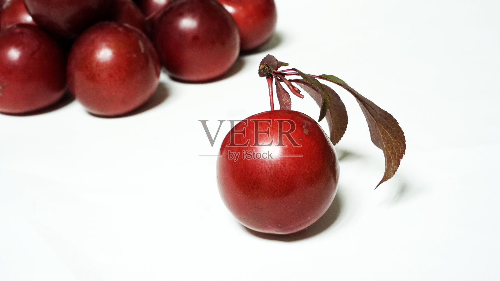 李子照片摄影图片