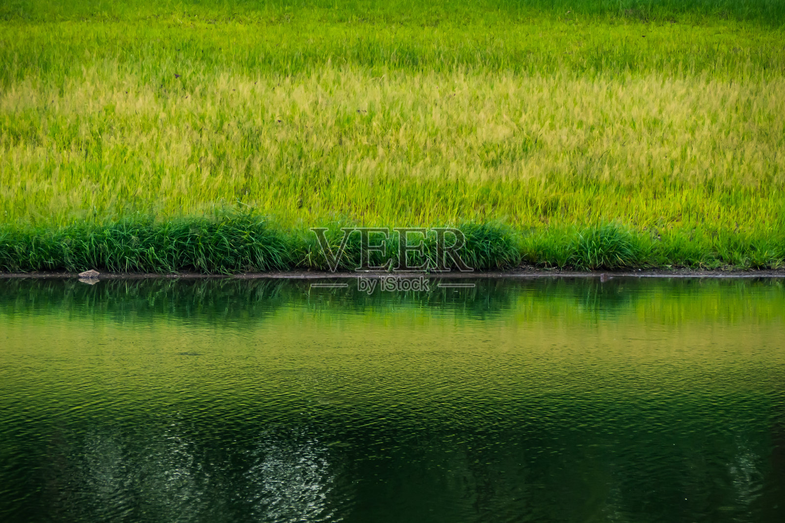 泰国大型水库池塘景观。照片摄影图片