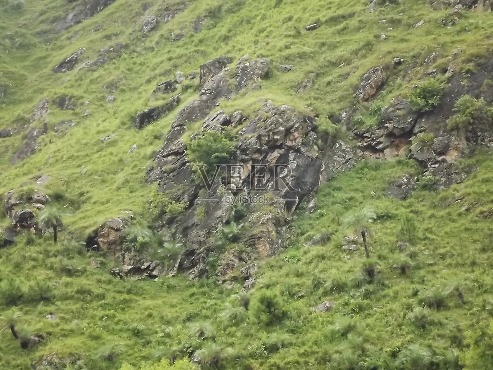 清晨风景优美的自然景观照片摄影图片