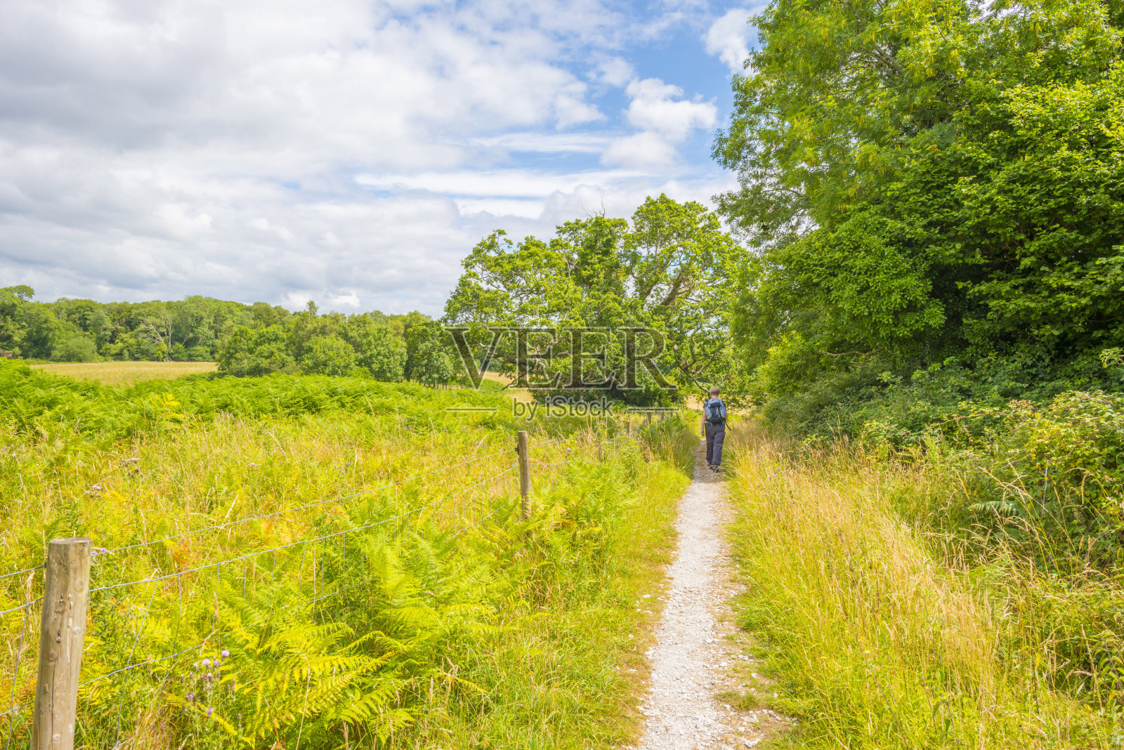 在一个国家公园的海岸和周围的一个湖在夏天的全景照片摄影图片