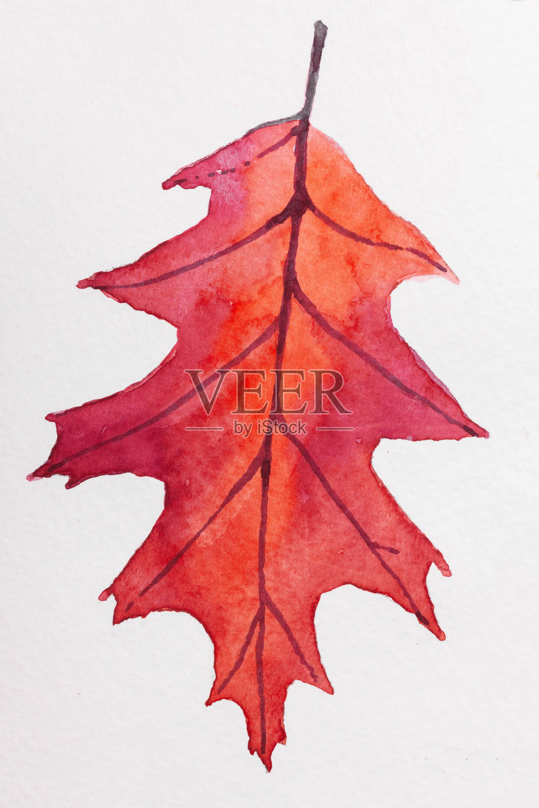 黄红秋叶的水彩插图插画图片素材