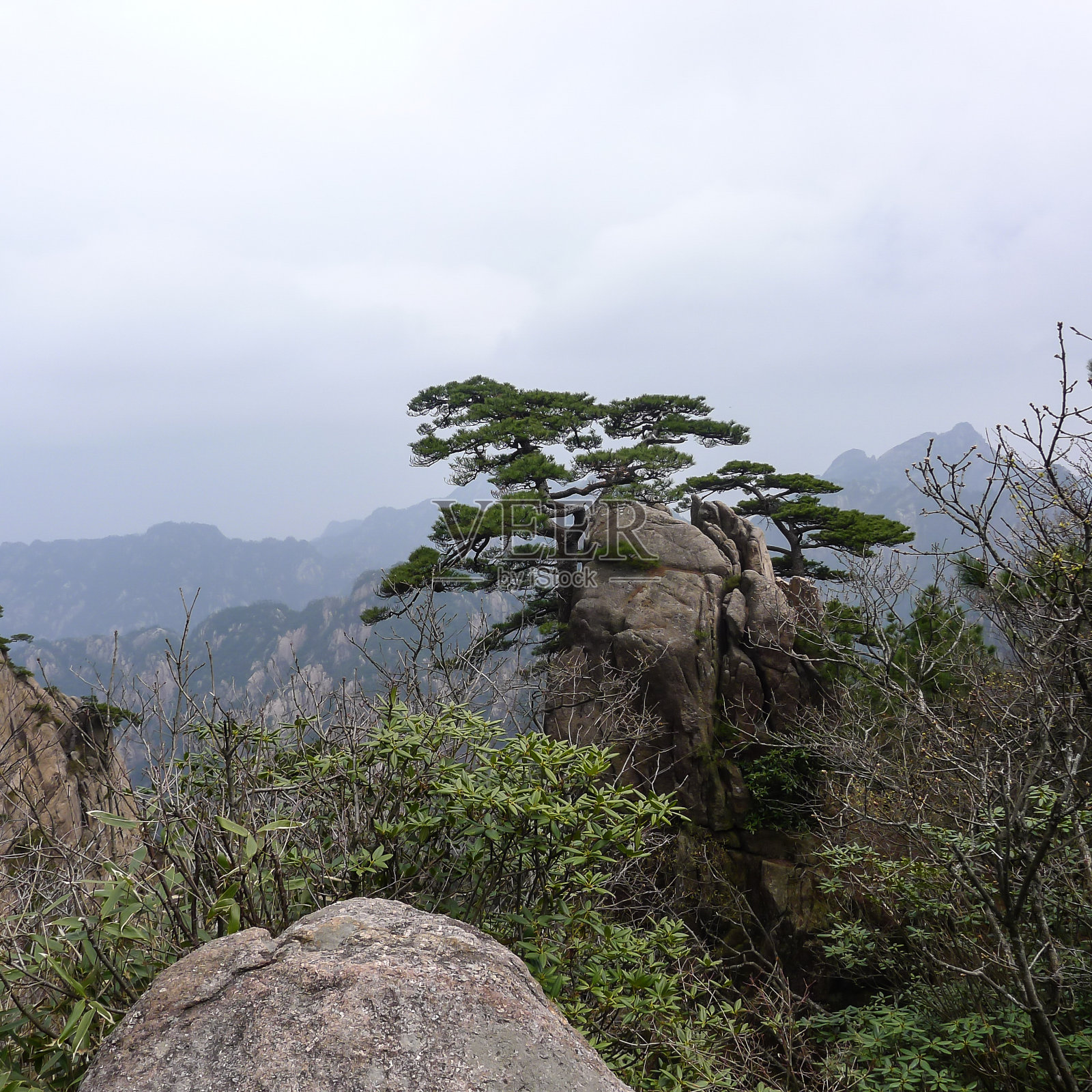 中国黄山的美丽山景和松树照片摄影图片